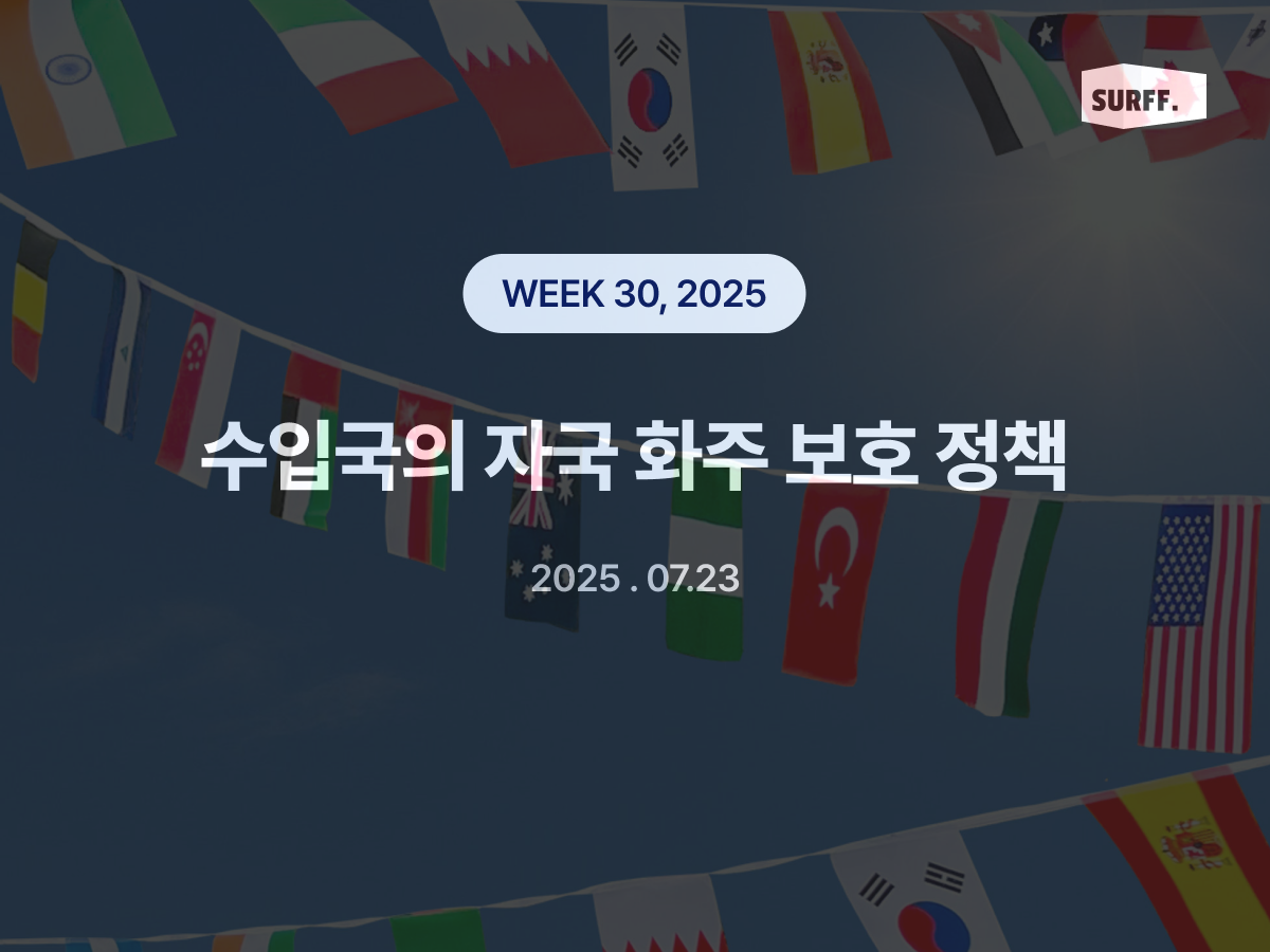 수입국의 화주 보호 정책 (Week 30, 2025) 