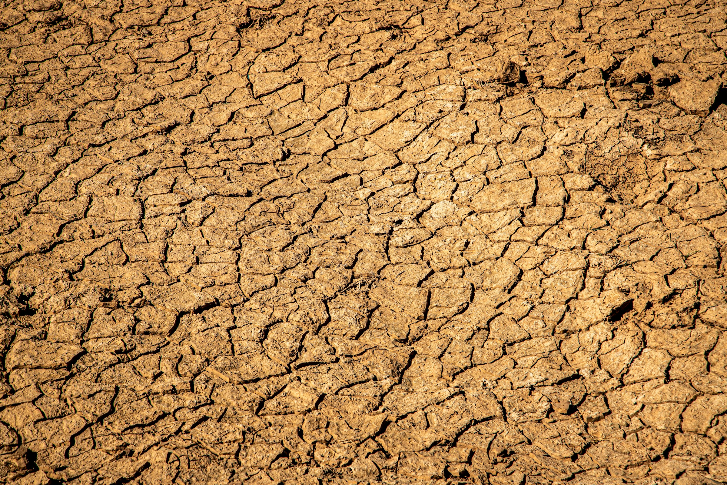 "과장님, 정말 죄송한데... 화주사 공장 라인이 갑자기 침수됐답니다." (Week 14, 2026)